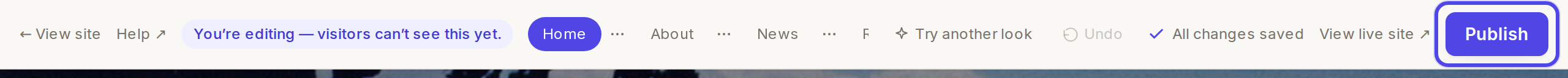 The editor top bar with Publish highlighted