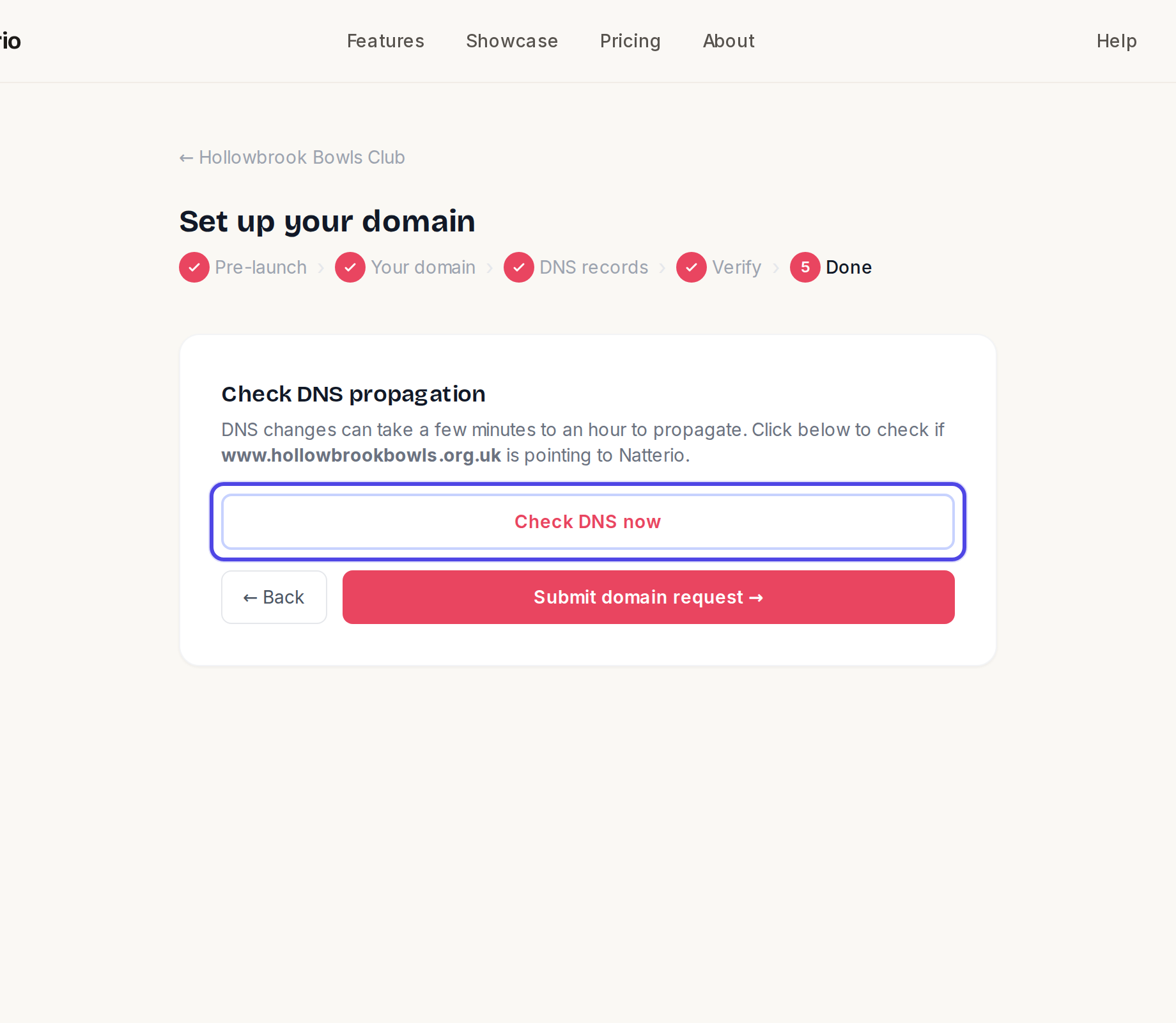 The Check DNS propagation step